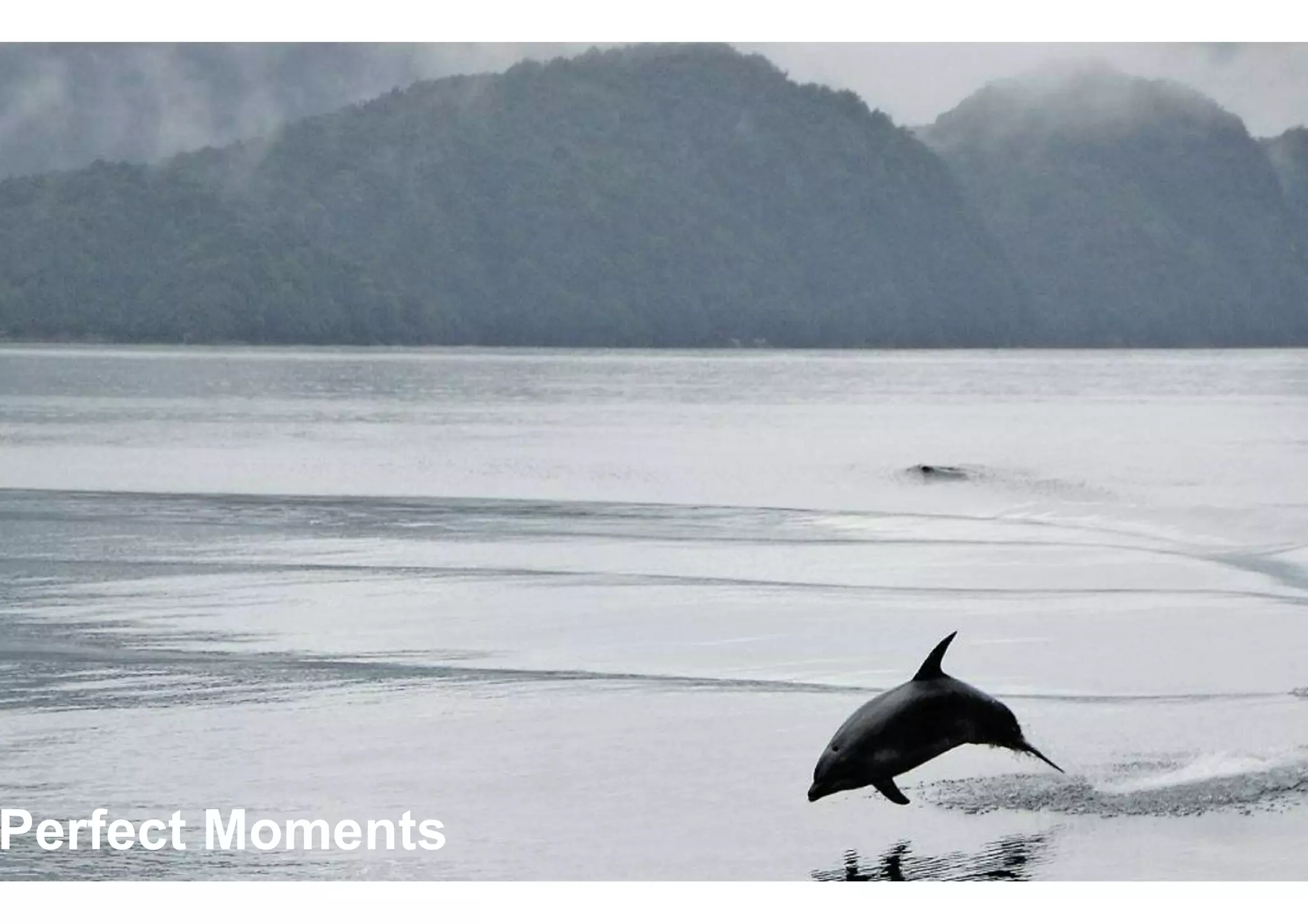 Forum "What's the latest in tour operating?"_3