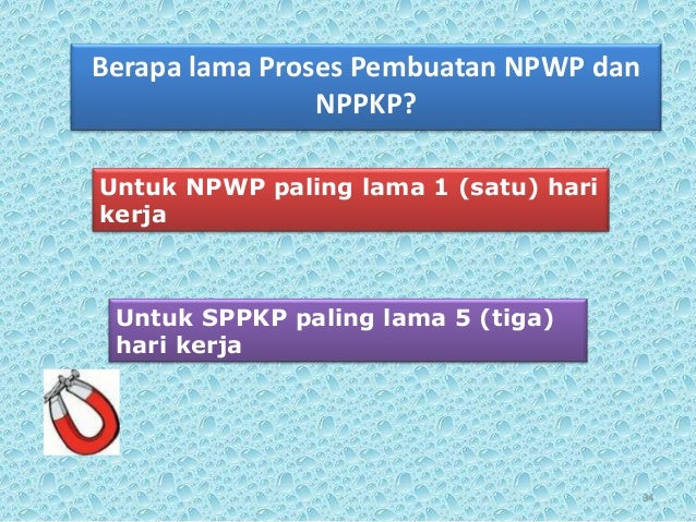 Proses Pembuatan Npwp Pribadi Berapa Lama | proses pembuatan npwp pribadi berapa lama pp Proses Pembuatan Npwp Pribadi Berapa Lama | proses pembuatan npwp pribadi berapa lama pp