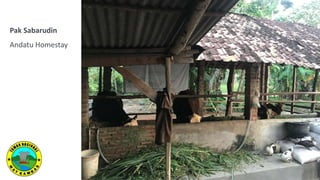 Pak Sabarudin
Andatu Homestay
 