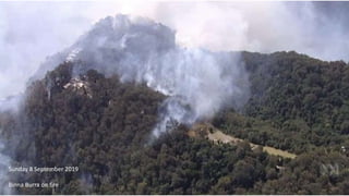 Sunday 8 September 2019
Binna Burra on fire
 