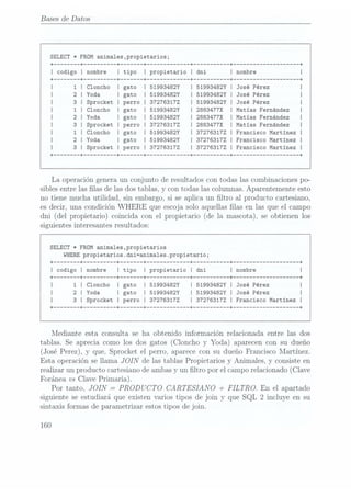 Bases de Datos
Cloncho
Yoda
Sprocket
Cloncho
Yoda
Sprocket
Cloncho
Yoda
Sprocket
SELECT * FROM animales,propietarios;
51993482Y
51993482Y
372763172
51993482Y
51993482Y
372763172
51993482Y
5199348
 