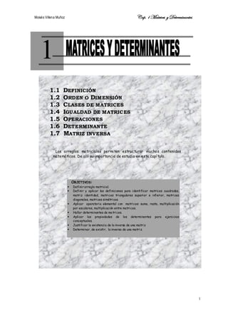 Moisés Villena Muñoz Cap.1 Matrices y Determinantes
1
1
1.1 DEFINICIÓN
1.2 ORDEN O DIMENSIÓN
1.3 CLASES DE MATRICES
1.4 IGUALDAD DE MATRICES
1.5 OPERACIONES
1.6 DETERMINANTE
1.7 MATRIZ INVERSA
Los arreglos matriciales permiten estructurar muchos contenidos
matemáticos. De allí su importancia de estudio en este capítulo.
OBJETIVOS:
 Definir arreglo matricial.
 Definir y aplicar las definiciones para identificar matrices cuadradas,
matriz identidad, matrices triangulares superior e inferior, matrices
diagonales, matrices simétricas.
 Aplicar operatoria elemental con matrices: suma, resta, multiplicación
por escalares, multiplicación entre matrices.
 Hallar determinantes de matrices.
 Aplicar las propiedades de los determinantes para ejercicios
conceptuales.
 Justificar la existencia de la inversa de una matriz
 Determinar, de existir, la inversa de una matriz.
 