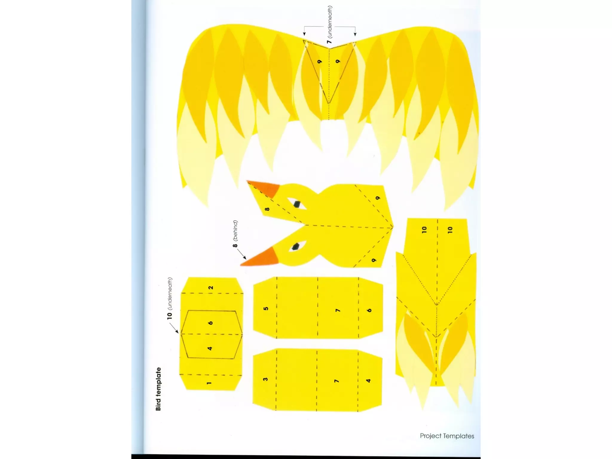 Pop Up Design and Paper Mechanics
