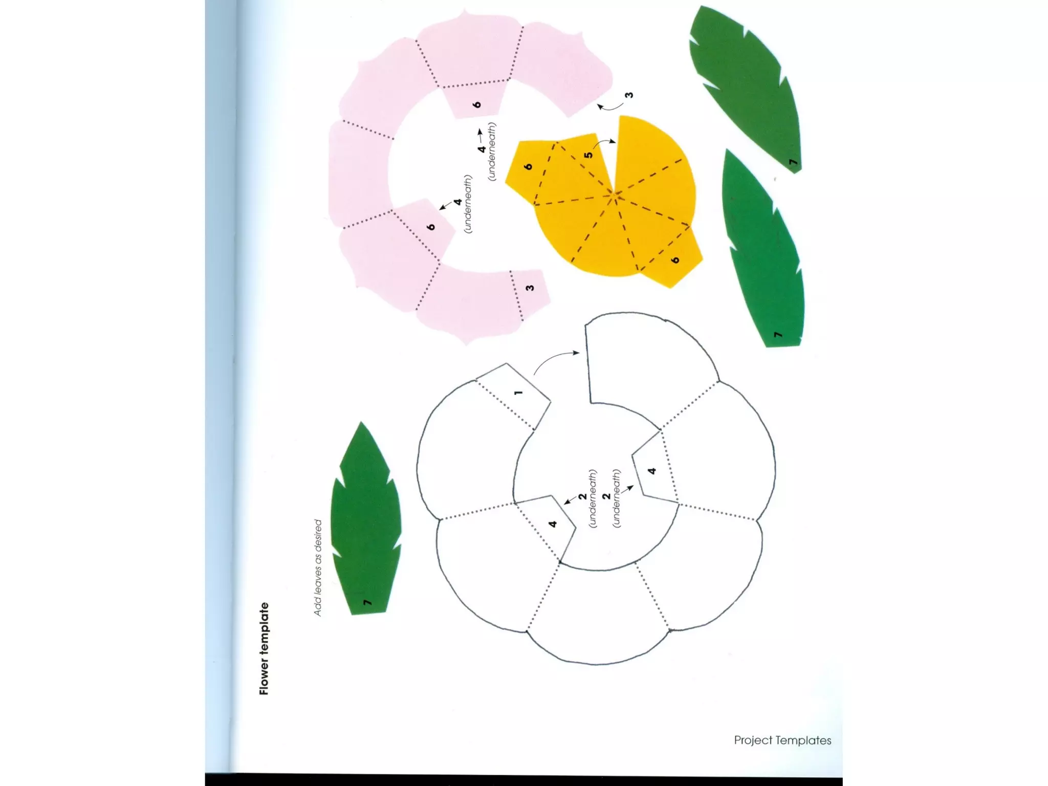 Pop Up Design and Paper Mechanics