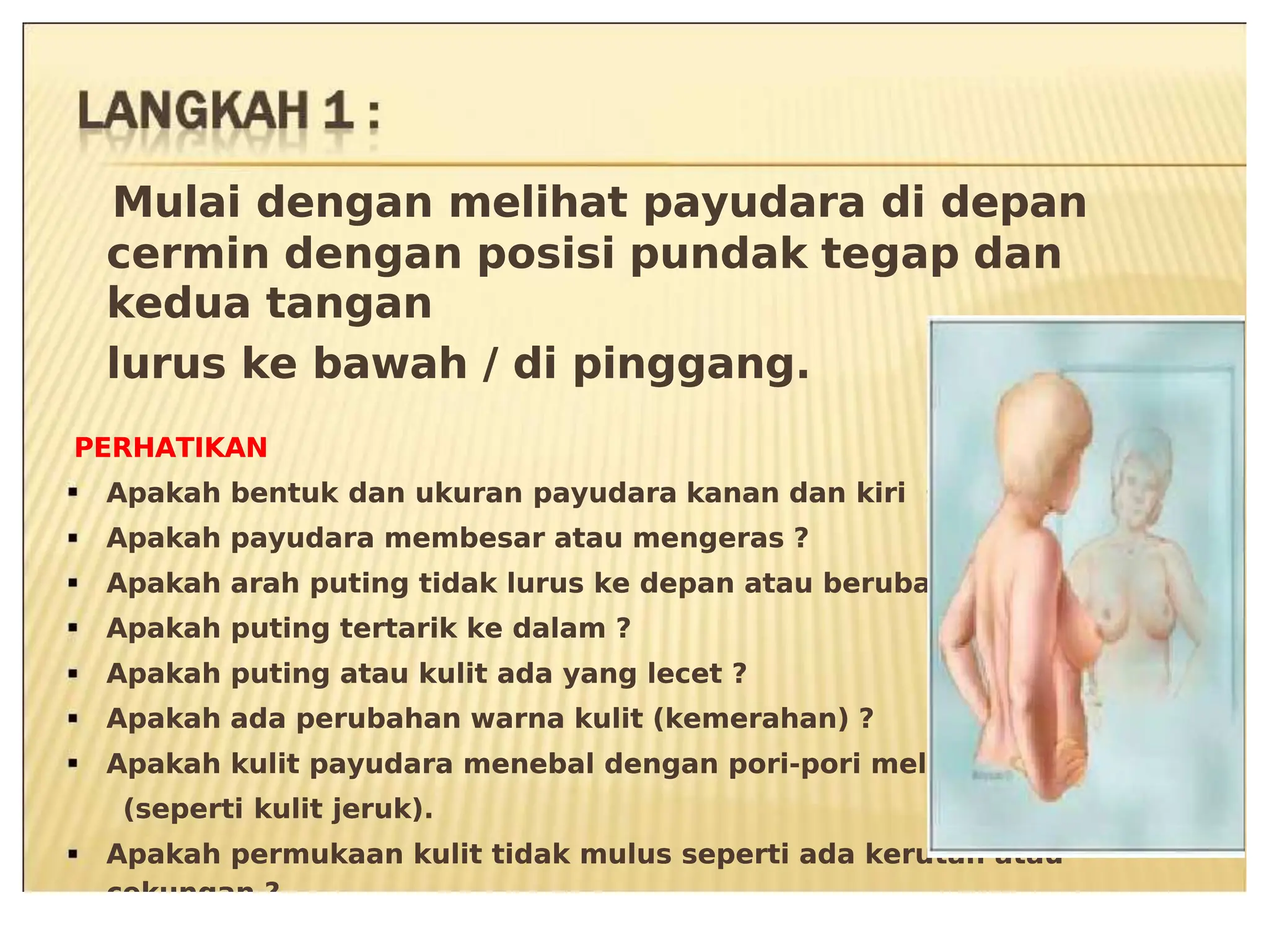 6ulai dengan melihat payudara di depan
6ulai dengan melihat payudara di depan
8ermin dengan posisi pundak tegap dan
8ermin dengan posisi pundak tegap dan
kedua tangan
kedua tangan
lurus ke &aah * di pinggang.
lurus ke &aah * di pinggang.
PER9ATI$AN
PER9ATI$AN
Apakah
Apakah &entuk
&entuk dan
dan ukuran
ukuran payudara
payudara kanan
kanan dan
dan kiri
kiri simetris
simetris :
:
Apakah payudara mem&esar atau mengeras :
Apakah payudara mem&esar atau mengeras :
Apakah arah puting tidak lurus ke depan atau &eru&ah arah :
Apakah arah puting tidak lurus ke depan atau &eru&ah arah :
Apakah puting tertarik ke dalam :
Apakah puting tertarik ke dalam :
Apakah puting atau kulit ada yang le8et :
Apakah puting atau kulit ada yang le8et :
Apakah ada peru&ahan arna kulit 3kemerahan- :
Apakah ada peru&ahan arna kulit 3kemerahan- :
Apakah kulit payudara mene&al dengan pori1pori mele&ar
Apakah kulit payudara mene&al dengan pori1pori mele&ar
3seperti
3seperti kulit
kulit ,eruk-.
,eruk-.
Apakah permukaan kulit tidak mulus seperti ada kerutan atau
Apakah permukaan kulit tidak mulus seperti ada kerutan atau
8ekungan :
8ekungan :
 