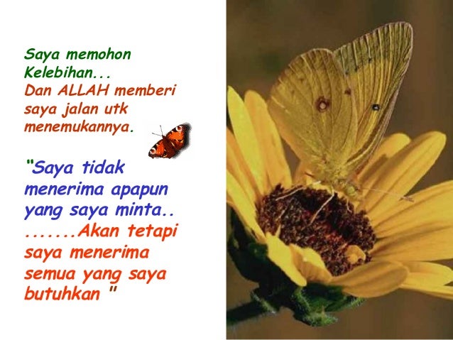 Baik Menurut Kita Belum Tentu Baik Menurut Allah Nasi Baik Menurut Kita Belum Tentu Baik Menurut Allah Nasi