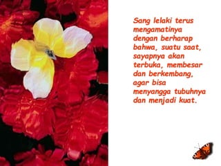 Sang lelaki terus 
mengamatinya 
dengan berharap 
bahwa, suatu saat, 
sayapnya akan 
terbuka, membesar 
dan berkembang, 
agar bisa 
menyangga tubuhnya 
dan menjadi kuat. 
 