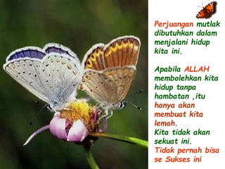 Perjuangan mutlak 
dibutuhkan dalam 
menjalani hidup 
kita ini. 
Apabila ALLAH 
membolehkan kita 
hidup tanpa 
hambatan ,itu 
hanya akan 
membuat kita 
lemah. 
Kita tidak akan 
sekuat ini. 
Tidak pernah bisa 
se Sukses ini 
 