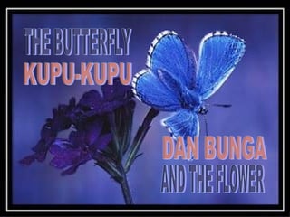 THE BUTTERFLY AND THE FLOWER KUPU-KUPU DAN BUNGA 
