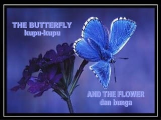 THE BUTTERFLY kupu-kupu AND THE FLOWER dan bunga 