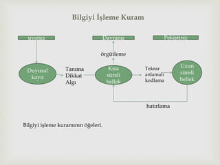 Bilgiyi İşleme Kuram
uyarıcı Davranış Pekiştireç
Duyusal
kayıt
Tanıma
Dikkat
Algı
örgütleme
Kısa
süreli
bellek
Tekrar
anlamalı
kodlama
Uzun
süreli
bellek
hatırlama
Bilgiyi işleme kuramının öğeleri.
 