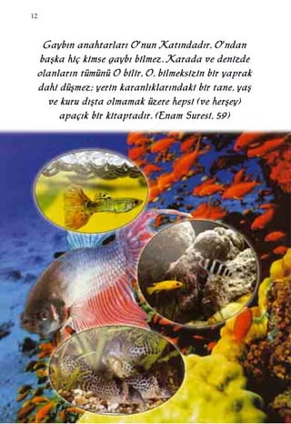 12
GGaayybb››nn aannaahhttaarrllaarr›› OO''nnuunn KKaatt››nnddaadd››rr,, OO''nnddaann
bbaaﬂﬂkkaa hhiiçç kkiimmssee ggaayybb›› bbiillmmeezz.. KKaarraaddaa vvee ddeenniizzddee
oollaannllaarr››nn ttüümmüünnüü OO bbiilliirr,, OO,, bbiillmmeekkssiizziinn bbiirr yyaapprraakk
ddaahhii ddüüﬂﬂmmeezz;; yyeerriinn kkaarraannll››kkllaarr››nnddaakkii bbiirr ttaannee,, yyaaﬂﬂ
vvee kkuurruu dd››ﬂﬂttaa oollmmaammaakk üüzzeerree hheeppssii ((vvee hheerrﬂﬂeeyy))
aappaaçç››kk bbiirr kkiittaappttaadd››rr.. ((EEnnaamm SSuurreessii,, 5599))
 