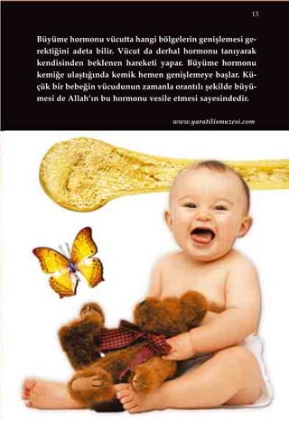 13
Büyüme hormonu vücutta hangi bölgelerin geniﬂlemesi ge-
rekti¤ini adeta bilir. Vücut da derhal hormonu tan›yarak
kendisinden beklenen hareketi yapar. Büyüme hormonu
kemi¤e ulaﬂt›¤›nda kemik hemen geniﬂlemeye baﬂlar. Kü-
çük bir bebe¤in vücudunun zamanla orant›l› ﬂekilde büyü-
mesi de Allah’›n bu hormonu vesile etmesi sayesindedir.
www.yaratilismuzesi.com
 