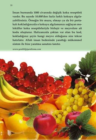 18
‹nsan burnunda 1000 civar›nda de¤iﬂik koku reseptörü
vard›r. Bu sayede 10.000'den fazla farkl› kokuyu alg›la-
yabilirsiniz. Örne¤in bir muzu, elmay› ya da bir porta-
kal› koklad›¤›n›zda o kokuyu alg›laman›z› sa¤layan mo-
leküller koku reseptörleriyle birleﬂir ve meyvelere ait
kodu oluﬂturur. Haf›zan›zda çoktan var olan bu kod,
koklad›¤›n›z ﬂeyin hangi meyve oldu¤unu size tekrar
hat›rlat›r. Allah insan bedeninde yaratt›¤› mükemmel
sistem ile bize yaratma sanat›n› tan›t›r.
www.yenibilgiyenikonu.com
 