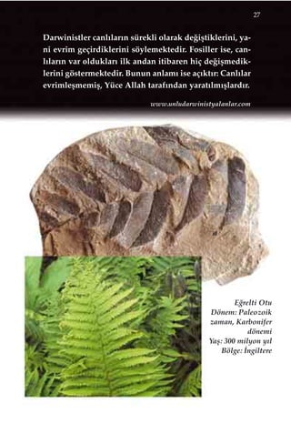 Darwinistler canl›lar›n sürekli olarak de¤iﬂtiklerini, ya-
ni evrim geçirdiklerini söylemektedir. Fosiller ise, can-
l›lar›n var olduklar› ilk andan itibaren hiç de¤iﬂmedik-
lerini göstermektedir. Bunun anlam› ise aç›kt›r: Canl›lar
evrimleﬂmemiﬂ, Yüce Allah taraf›ndan yarat›lm›ﬂlard›r.
27
E¤relti Otu
Dönem: Paleozoik
zaman, Karbonifer
dönemi
Yaﬂ: 300 milyon y›l
Bölge: ‹ngiltere
iii
www.unludarwinistyalanlar.com
 