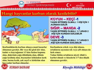 T.C.
                                                                               T.C.
                                                                                T.C.
                                                                           KÖYCEĞİZ
                                                                           KÖYCEĞİZ
                                                                            KÖYCEĞİZ
                                                                       MÜFTÜLÜĞÜ
                                                                       MÜFTÜLÜĞÜ
                                                                        MÜFTÜLÜĞÜ



Hangi hayvanlar kurban olarak kesilebilir?
                                                KOYUN – KEÇİ -1
                                                YAŞINI BİTİRMİŞ OLMALI. 1 KİŞİ İÇİN 1
                                                .KURBAN EDİLİR
                                                SIĞIR – MANDA -2
                                                YAŞINI BİTİRMİŞ OLMALI. 1-7 ARASI 2
                                                .KİŞİ İÇİN KURBAN EDİLEBİLİR
                                                DEVE -3
                                                YAŞINI BİTİRMİŞ OLMALI. 1-7 ARASI 5
                                                .KİŞİ İÇİN KURBAN EDİLEBİLİR

Kurbanlıklarda kurban olmaya mani kusurlar      Kurbanların erkek veya dişi olması,
olmaması gerekir. Bir veya iki gözü kör olan,   ortakların sayısının tek veya çift olması da
kulak ve kuyruğunun 1/3 den fazlası kopmuş      fark etmez.
olan, dişlerinin çoğu dökülmüş olan, dilinin    Yalnız bütün ortakların niyeti Allah‘a
çoğu kesilmiş olan, boynuzları kökünden kırık   kurbet olmalı ve hisselerin 1/7 den düşük
olan, burnu kesik, çok zayıf ve kötürüm olan    olmaması gerekir.
hayvanlar kurban olmazlar.
 