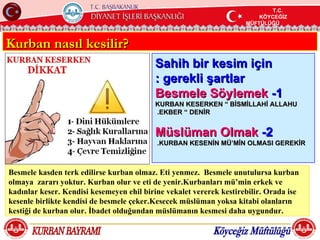 T.C.
                                                                              T.C.
                                                                         KÖYCEĞİZ
                                                                          KÖYCEĞİZ
                                                                     MÜFTÜLÜĞÜ
                                                                      MÜFTÜLÜĞÜ


Kurban nasıl kesilir?
                                          Sahih bir kesim için
                                          : gerekli şartlar
                                          Besmele Söylemek -1
                                          KURBAN KESERKEN “ BİSMİLLAHİ ALLAHU
                                          .EKBER “ DENİR


                                          Müslüman Olmak -2
                                           .KURBAN KESENİN MÜ‘MİN OLMASI GEREKİR



Besmele kasden terk edilirse kurban olmaz. Eti yenmez. Besmele unutulursa kurban
olmaya zararı yoktur. Kurban olur ve eti de yenir.Kurbanları mü‘min erkek ve
kadınlar keser. Kendisi kesemeyen ehil birine vekalet vererek kestirebilir. Orada ise
kesenle birlikte kendisi de besmele çeker.Kesecek müslüman yoksa kitabi olanların
kestiği de kurban olur. İbadet olduğundan müslümanın kesmesi daha uygundur.
 