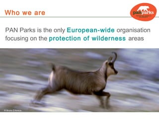 Who we are

   PAN Parks is the only European-wide organisation
   focusing on the protection of wilderness areas




  Photo: Simon Kertys
Paanajärvi NP ©Viktor Gritsuk
  © Bruno D’Amicis
 