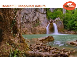 Beautiful unspoiled nature




Paanajärvi NP ©Viktor Gritsuk
 