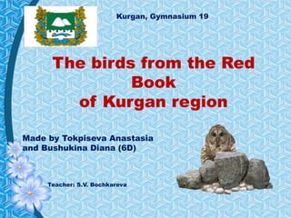 Teacher: S.V. Bochkareva
Kurgan, Gymnasium 19
The birds from the Red
Book
of Kurgan region
Made by Tokpiseva Anastasia
and Bushukina Diana (6D)
 