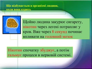 Що відбувається в організмі людини,
коли вона курить
Щойно людина закурює сигарету,
нікотин через легені потрапляє у
кров. Вже через 8 секунд починає
впливати на головний мозок
Нікотин спочатку збуджує, а потім
гальмує процеси в нервовій системі.
 