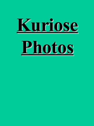 Kuriose Photos 