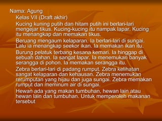 Nama: Agung
Kelas VII (Draft akhir)
Kucing kuning putih dan hitam putih ini berlari-lari
mengejar tikus. Kucing-kucing itu nampak lapar. Kucing
itu menangkap dan memakan tikus.
Beruang mengaum kelaparan. Ia berlari-lari di sungai.
Lalu ia menangkap seekor ikan. Ia memakan ikan itu.
Burung pelatuk terbang kesana kemari. Ia hinggap di
sebuah dahan. Ia sangat lapar. Ia menemukan banyak
serangga di pohon. Ia memakan serangga itu.
Zebra berlari-lari di padang rumput. Zebra kelihatan
sangat kelaparan dan kehausan. Zebra menemukan
rerumputan yang hijau dan juga sungai. Zebra memakan
rumput dan meminum air di sungai.
Hewan ada yang makan tumbuhan, hewan lain atau
hewan lain dan tumbuhan. Untuk memperoleh makanan
tersebut
 