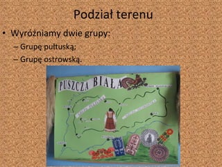 Podział terenu Wyróżniamy dwie grupy: Grupę pułtuską; Grupę ostrowską. 