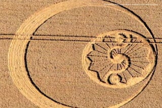 Картонное НЛО прилетело и оставило эту надпись здесь.
 