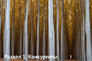 Раздел 1. Конкуренты
 