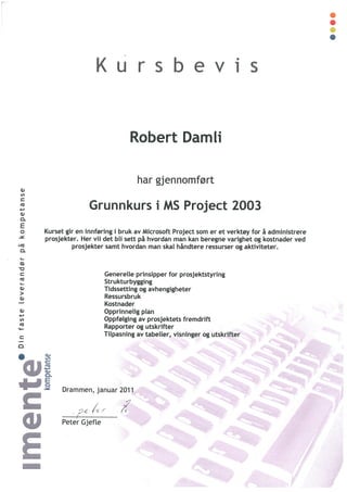 Kursbevis Ms Project 2003