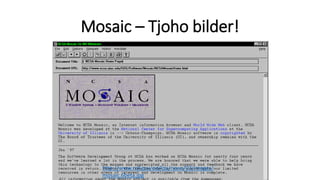 Mosaic – Tjoho bilder!
http://www.nsf.gov/od/lpa/news/03/images/
mosaic.6beta.jpg
1993
 