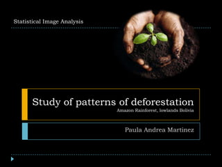 Study of patterns of deforestation Amazon Rainforest, lowlands Bolivia Paula Andrea Martinez Statistical Image Analysis 