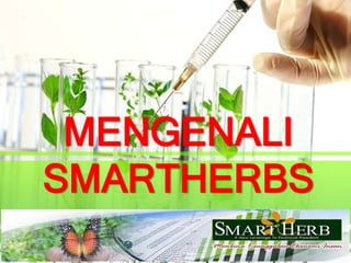 MENGENALI SMARTHERBS