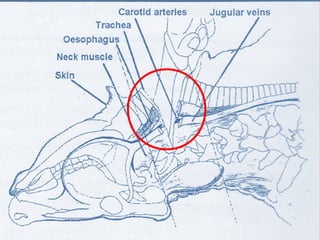 TM
Halal Industry Development Corporation (HDC)
5.02, Level 5,
KPMG Tower, First Avenue, Persiaran Bandar Utama,
47800 Petaling Jaya, Selangor Darul Ehsan,
Malaysia.
Tel : +603 - 7965 5555
Fax : +603 - 7965 5500
Hotline : 1800 - 880 - 555 (within Malaysia)
+603 7965 5400 (outside Malaysia)
www.hdcglobal.com
TM
26
 