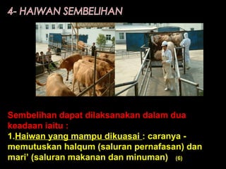 Sembelihan dapat dilaksanakan dalam dua
keadaan iaitu :
1.Haiwan yang mampu dikuasai : caranya -
memutuskan halqum (saluran pernafasan) dan
mari’ (saluran makanan dan minuman) (6)
 