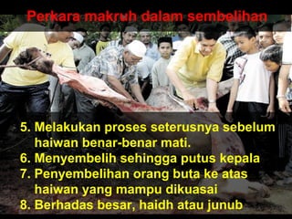 Perkara makruh dalam sembelihan
5. Melakukan proses seterusnya sebelum
haiwan benar-benar mati.
6. Menyembelih sehingga putus kepala
7. Penyembelihan orang buta ke atas
haiwan yang mampu dikuasai
8. Berhadas besar, haidh atau junub
 