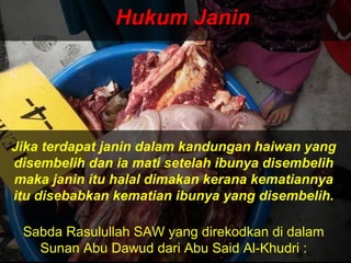 Hukum JaninHukum Janin
Jika terdapat janin dalam kandungan haiwan yang
disembelih dan ia mati setelah ibunya disembelih
maka janin itu halal dimakan kerana kematiannya
itu disebabkan kematian ibunya yang disembelih.
Sabda Rasulullah SAW yang direkodkan di dalam
Sunan Abu Dawud dari Abu Said Al-Khudri :
 
