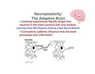 Mind, Brain, and Education: How Cognitive & Neuro Science Inform ...
