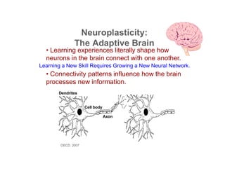 Neuroplasticity:
               The Adaptive Brain
  • Learning experiences literally shape how
  neurons in the brain connect with one another.
Learning a New Skill Requires Growing a New Neural Network.
  • Connectivity patterns influence how the brain
  processes new information.
       Dendrites


                     Cell body

                                 Axon




        OECD, 2007
 