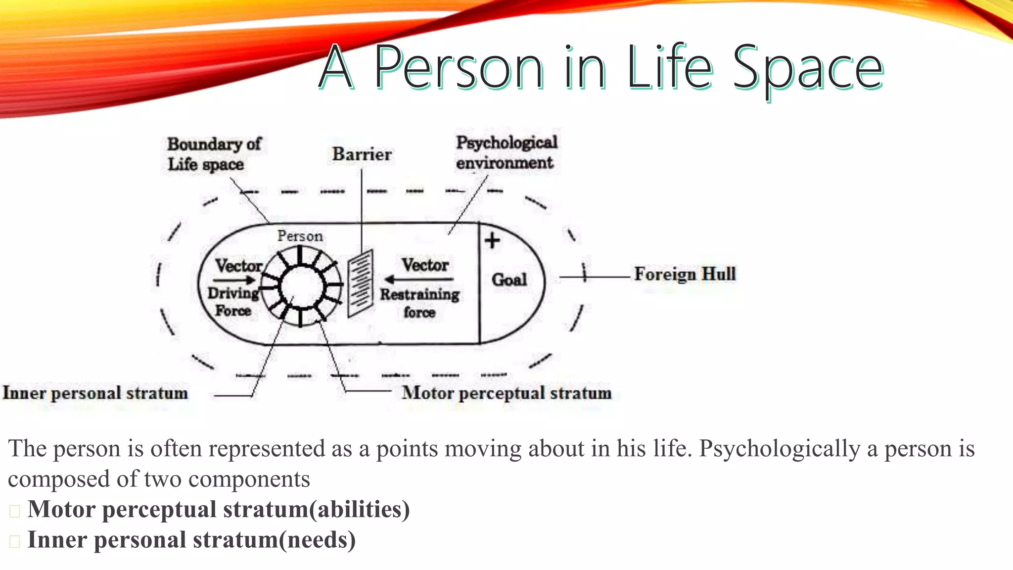 The person is often represented as a points moving about in his life. Psychologically a person is
composed of two components
Motor perceptual stratum(abilities)
Inner personal stratum(needs)
 