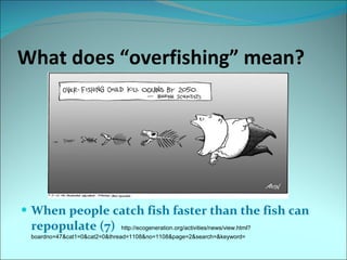 What does “overfishing” mean?  <ul><li>When people catch fish faster than the fish can repopulate (7)  http://ecogeneratio...