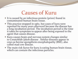 Causes of Kuru
 It is caused by an infectious protein (prion) found in
contaminated human brain tissue.
 This practice stopped in 1960, but cases of kuru were
reported for many years afterward because the disease has
a long incubation period. The incubation period is the time
it takes for symptoms to appear after being exposed to the
agent that causes disease.
 Kuru causes brain and nervous system changes similar
to Creutzfeldt-Jakob disease . Similar diseases appear in
cows as bovine spongiform encephalopathy (BSE), also
called mad cow disease.
 The main risk factor for kuru is eating human brain tissue,
which can contain the infectious particles.
 