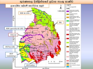 RBE & LHG
RBE (gravelly) & LHG
RYP & LHG
RYP (hilly)
Alluvial
RYP
(undulating)
IBL
කුරුණෑගල දිසත්‍රිි්ක෗යත පරිධාන පාංශු කා්ඩඩ
පරිා෗ දතශීය ෗ළතකඹ ෗කාට්ඨාශ අනුව
 