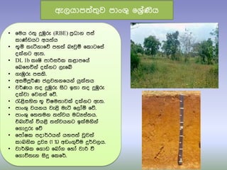 • ෗මය ර්‍ු දුඹුරු (RBE) පරිධාන පසත
කා්ඩඩයට අය්‍තය
• භූය කැටීනා෗ේ පහ්‍ත බෑවුඹ ෗කාට෗සත
ද්නට ඇ්‍.
• DL 1b කූෂි පාරිසරික කළාප෗යත
෗බ෗හවිනත ද්නට ලැ෗ේ
• ගැඹුරු පසකි.
• අසඹපූර්ණ ජලවහන෗යනත යු්්‍ය
• වර්ණය ්‍ද දුඹුරු සිට ඉ්‍ා ්‍ද දුඹුරු
ද්වා ෗වනසත ෗ේ.
• රැළිසහි්‍ භූ විෂම්‍ාව් ද්නට ඇ්‍.
• පාංශු වයනය වැළි මැටි ෗ලෝය ෗ේ.
• පාංශු ෗්‍්‍මන ්‍්‍තවය මධයසත්‍ය.
එබැවිනත වියළි ්‍්‍තවයනට ඉ්මනිනත
෗ගාදුරු ෗ේ
• ෗පෝෂක පදාර්ථයනත යහප්‍ත වූව්‍ත
කාබනික ද්‍රවය (1 %) අඩංගුවීම දුර්වලය.
• වාර්ශික ෗ගාඩ ෗බෝග ෗හෝ වාරි වී
෗ගාවි්‍ැන සිදු ෗ක෗ර්.
ඇලයාප්‍ත්‍ුව පාංශු ෗ශරිතණිය
 