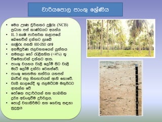 • ෗මය ඌණ චුර්නකර දුඹුරු (NCB)
පරිධාන පසත කා්ඩඩයට අය්‍තය
• IL 3 කූෂි පාරිසරික කළාප෗යත
෗බ෗හවිනත ද්නට ලැ෗ේ
• ගැඹුරු පසකි (60-250 cm)
• අසඹපූර්ණ ජලවහන෗යනත යු්්‍ය
• සම්‍ලා ෗හෝ රැළිසහි්‍ (<4%) භූ
විෂම්‍ාව් ද්නට ඇ්‍.
• පාංශු වයනය වැළි ෗ලෝය සිට වැළි
මැටි ෗ලෝය ද්වා ෗වනසත෗ේ.
• පාංශු ෗්‍්‍මන ්‍්‍තවය යහප්‍ත
බැවිනත ජල හිග්‍ාවය් ඇ්‍ි ෗නා෗ේ.
• වැසි කාල෗යතදී භූ ජලමට්ටම ම්‍ුපිටට
ආසනතන ෗ේ
• ෗පෝෂක පදාර්ථයනත සහ කාබනික
ද්‍රවය අඩංගුවීම දුර්වලය.
• ෗පාලත වගාකිරීමට සහ ෗ගව්‍ු සඳහා
සුදුසුය
වාරිය෗පාල පාංශු ෗ශරිතණිය
 