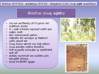 කිරුවාන (RYP-WD) - කුරුණෑගල (RYP-ID) - බ්‍ල෗ගාඩ (LHG) පාංශු ෗ශරිතණි සං෗යෝජනය
• ර්‍ු කහ ෗පාඩ්෗සෝල (RYP) පරිධාන පසත
කා්ඩඩයට අය්‍තය
• IL 1 කූෂි පාරිසරික කළාප෗යත පැ්‍ිරී ඇ්‍
• ගැඹුරු පසකි
• මනා ජලවහන෗යනත යු්්‍ය
• රැළිසහි්‍ සිට ෗පර෗ලන භූ විෂම්‍ාව
ද්වා ෗වනසත ෗ේ.
• පාංශු වයනය ෗බාරෆ සහ වැළි සහි්‍ය
• පාංශු ෗්‍්‍මන ්‍්‍තවය මධයසතථය
• වැසි කාල෗යතදී ්‍ාවකාළික භූ ජලමට්ටම්
ඇ්‍ි ෗ේ
• ෗පෝෂක පදාර්ථයනත සහ කාබනික ද්‍රවය
අඩංගුවීම දුර්වලය.
• ෗පාලත වගාකිරීමට සුදුසුය
කිරුවාන පාංශු ෗ශරිතණිය
 
