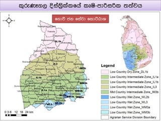 කුරුණෑගල දිසත්‍රිි්ක෗යත කූෂි-පාරිසරික ්‍්‍තවය
෗ගාවි ජන ෗සතවා ෗කාට්ඨාශ
 