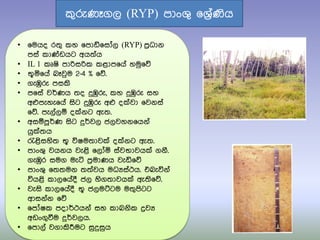 • ෗මයද ර්‍ු කහ ෗පාඩ්෗සෝල (RYP) පරිධාන
පසත කා්ඩඩයට අය්‍තය
• IL 1 කූෂි පාරිසරික කළාප෗යත හමු෗ේ
• භූය෗යත බෑවුම 2-4 % ෗ේ.
• ගැඹුරු පසකි
• ප෗සත වර්ණය ්‍ද දුඹුරු, කහ දුඹුරු සහ
අෆපැහැ෗යත සිට දුඹුරු අෆ ද්වා ෗වනසත
෗ේ. පැලතලඹ ද්නට ඇ්‍.
• අසඹපූර්ණ සිට දුර්වල ජලවහන෗යනත
යු්්‍ය
• රැළිසහි්‍ භූ විෂම්‍ාව් ද්නට ඇ්‍.
• පාංශු වයනය වැළි ෗ලෝය සතවභාවය් ගනී.
ගැඹුර සමග මැටි පරිමාණය වැඩි෗ේ
• පාංශු ෗්‍්‍මන ්‍්‍තවය මධයසතථය. එබැවිනත
වියළි කාල෗යතදී ජල හිග්‍ාවය් ඇ්‍ි෗ේ.
• වැසි කාල෗යතදී භූ ජලමට්ටම ම්‍ුපිටට
ආසනතන ෗ේ
• ෗පෝෂක පදාර්ථයනත සහ කාබනික ද්‍රවය
අඩංගුවීම දුර්වලය.
• ෗පාලත වගාකිරීමට සුදුසුය
කුරුණෑගල (RYP) පාංශු ෗ශරිතණිය
 