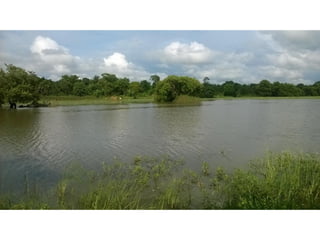 Restoration of Tank Cascade Systems for Productivity and Sustainability ...
